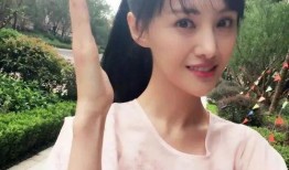 郑爽外网爆料事件视频,真相与争议交织